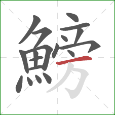 鰟的笔顺第19画：横