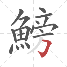 鰟的笔顺第20画：横折钩