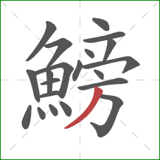 鰟的笔顺第21画：撇