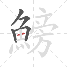 鰟的笔顺第5画：横