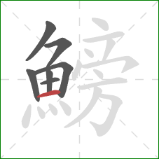 鰟的笔顺第7画：横
