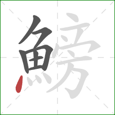 鰟的笔顺第8画：点