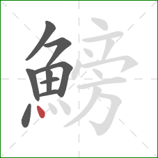 鰟的笔顺第9画：点