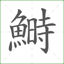 鰣的笔顺 鰣的笔顺