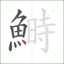 鰣的笔顺第11画:点 鰣的笔顺第11画:点
