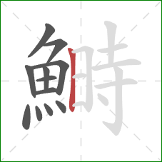 鰣的笔顺第12画:竖 鰣的笔顺第12画:竖