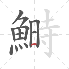 鰣的笔顺第15画:横 鰣的笔顺第15画:横