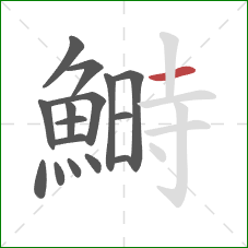 鰣的笔顺第16画:横 鰣的笔顺第16画:横