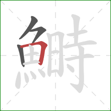 鰣的笔顺第4画:横折 鰣的笔顺第4画:横折