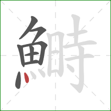 鰣的笔顺第9画:点 鰣的笔顺第9画:点