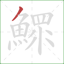 鰥的笔顺第1画：撇