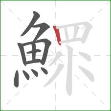 鰥的笔顺第12画：竖