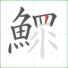 鰥的笔顺第15画：竖
