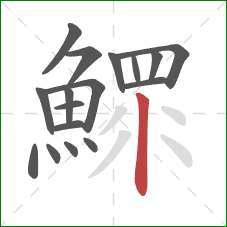 鰥的笔顺第17画：竖