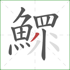 鰥的笔顺第18画：撇