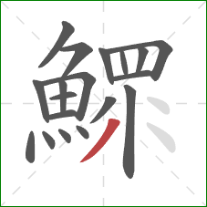 鰥的笔顺第19画：撇