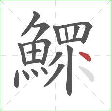 鰥的笔顺第20画：点