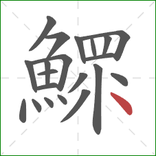 鰥的笔顺第21画：点