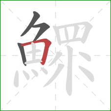 鰥的笔顺第4画：横折
