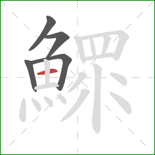 鰥的笔顺第5画：横