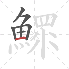 鰥的笔顺第7画：横