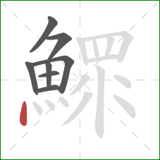 鰥的笔顺第8画：点