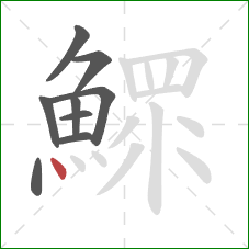 鰥的笔顺第9画：点