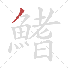 鰭的笔顺第1画：撇