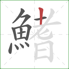 鰭的笔顺第13画：竖