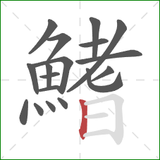 鰭的笔顺第18画：竖