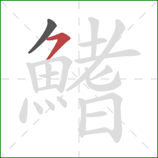 鰭的笔顺第2画：横撇