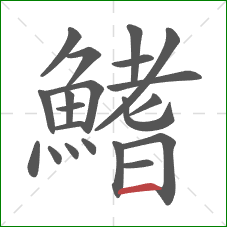 鰭的笔顺第21画：横