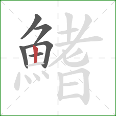鰭的笔顺第6画：竖
