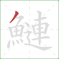 鰱的笔顺第1画：撇