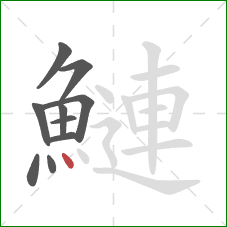 鰱的笔顺第10画：点