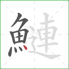 鰱的笔顺第11画：点