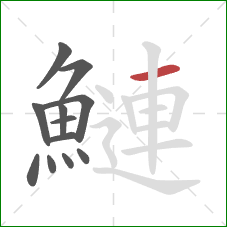 鰱的笔顺第12画：横