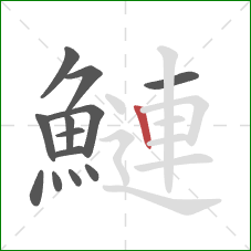鰱的笔顺第13画：竖
