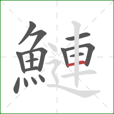 鰱的笔顺第16画：横