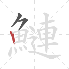 鰱的笔顺第3画：竖