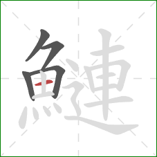 鰱的笔顺第5画：横
