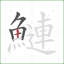 鰱的笔顺第6画：竖