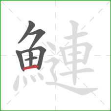 鰱的笔顺第7画：横