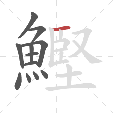鰹的笔顺第12画：横