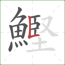 鰹的笔顺第17画：竖折