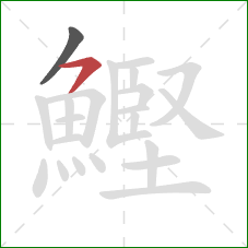 鰹的笔顺第2画：横撇