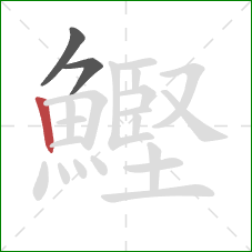 鰹的笔顺第3画：竖