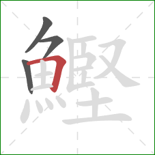 鰹的笔顺第4画：横折