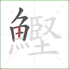 鰹的笔顺第6画：竖