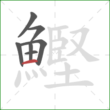 鰹的笔顺第7画：横
